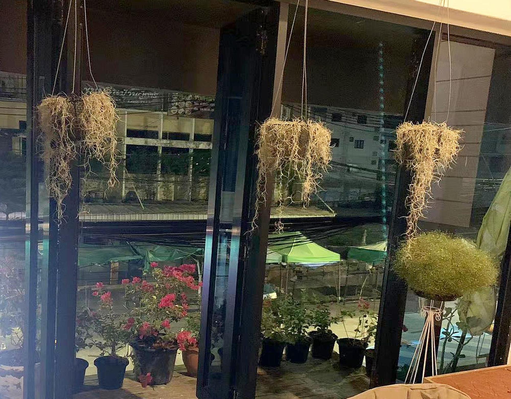 Susu Khaosan Hostel Bangkok Exterior photo